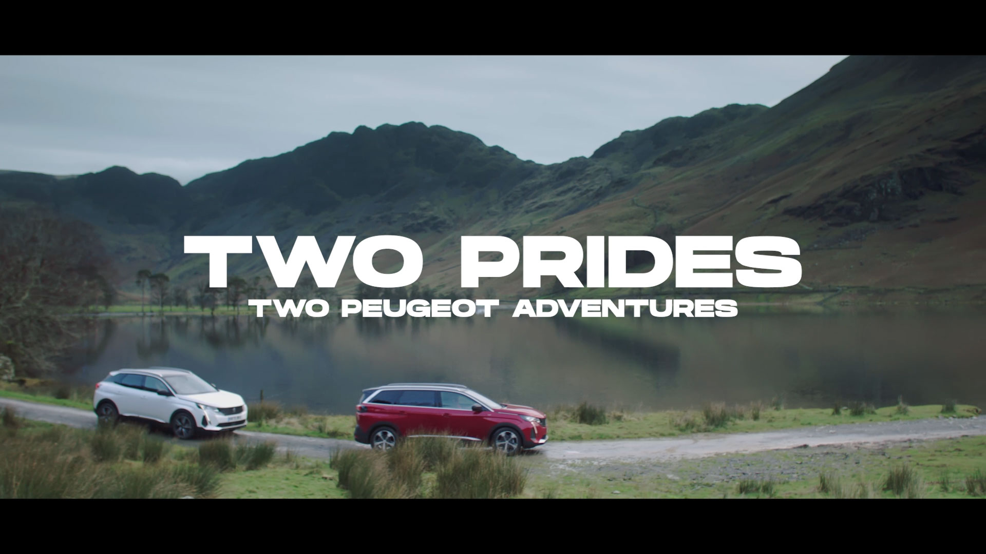 Peugeot retailer vehicle launch campaign